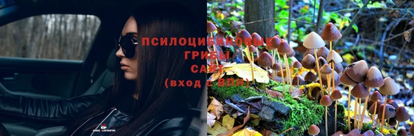 спайс Алексеевка