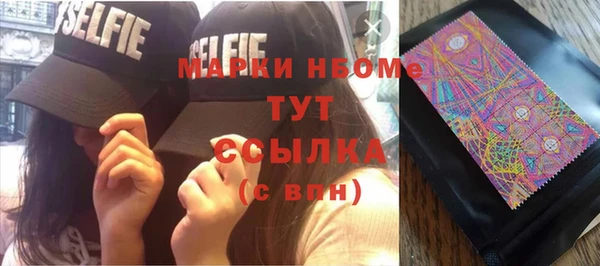 стаф Липки