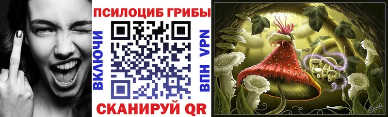 Псилоцибиновые грибы мицелий  что такое   Лагань 